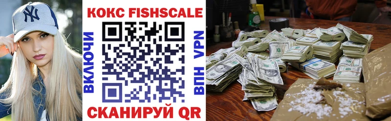 где купить наркоту  Жердевка  Кокаин Fish Scale 