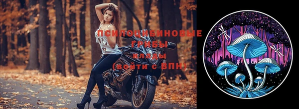дурь Абаза