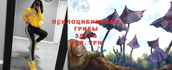 ПСИЛОЦИБИНОВЫЕ ГРИБЫ Абинск