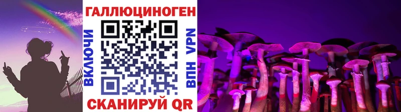 Галлюциногенные грибы Magic Shrooms  где найти   кракен зеркало  Жердевка 